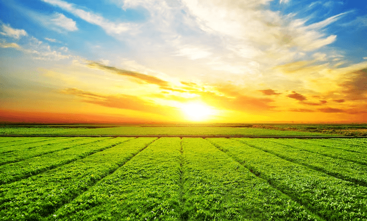 Farm background